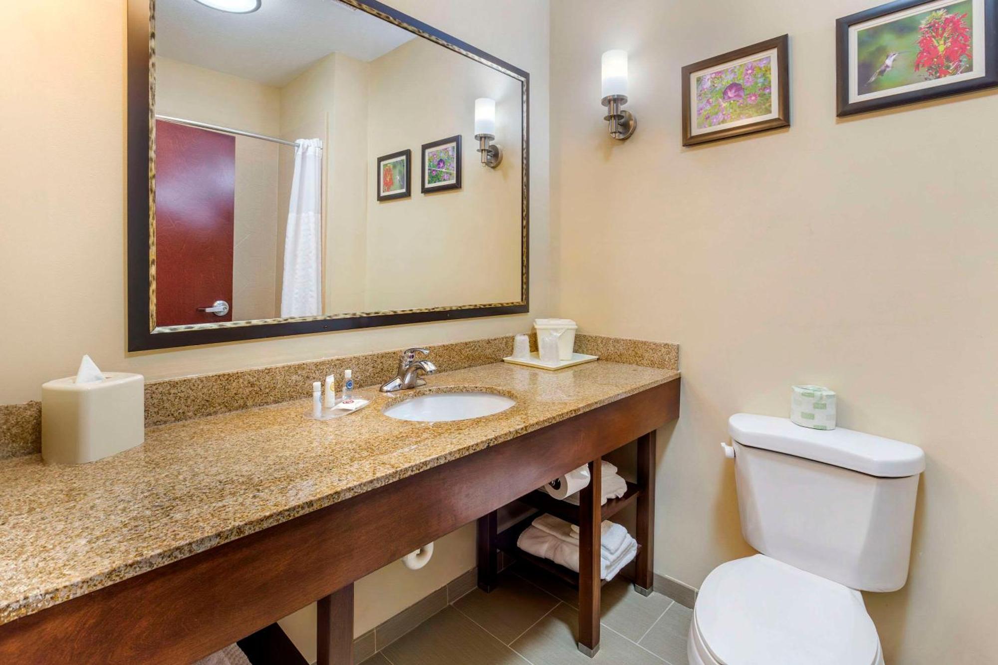 Comfort Suites Wilson - I - 95 Buitenkant foto