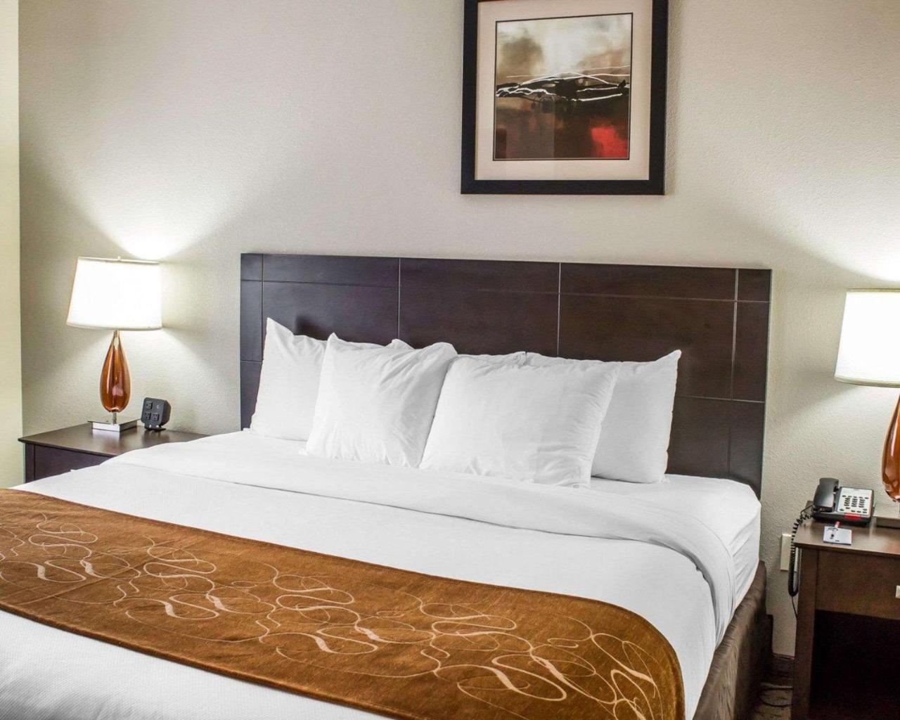 Comfort Suites Wilson - I - 95 Buitenkant foto