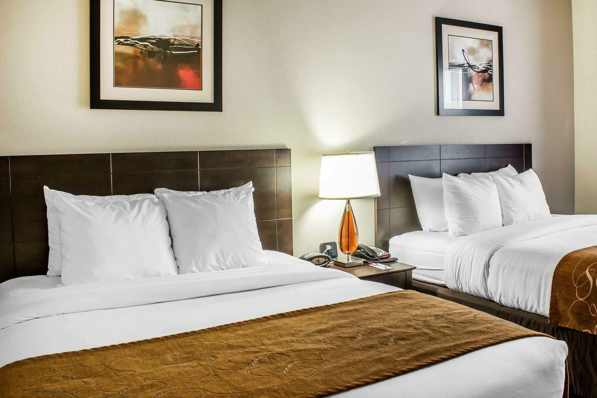 Comfort Suites Wilson - I - 95 Buitenkant foto